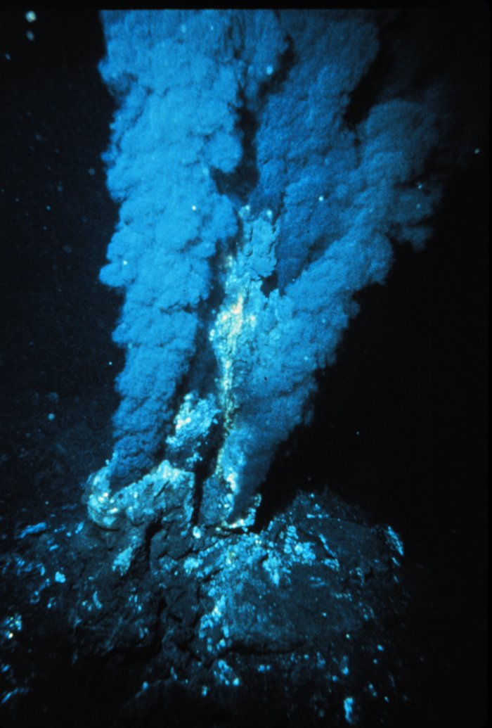 Where the Sun Don't Shine: Alien Life in Sunless Places